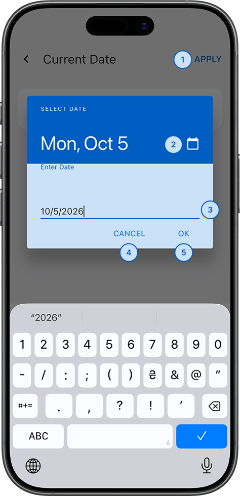 Date selection screen with text input field for manual date entry in DD/MM/YYYY format (light)