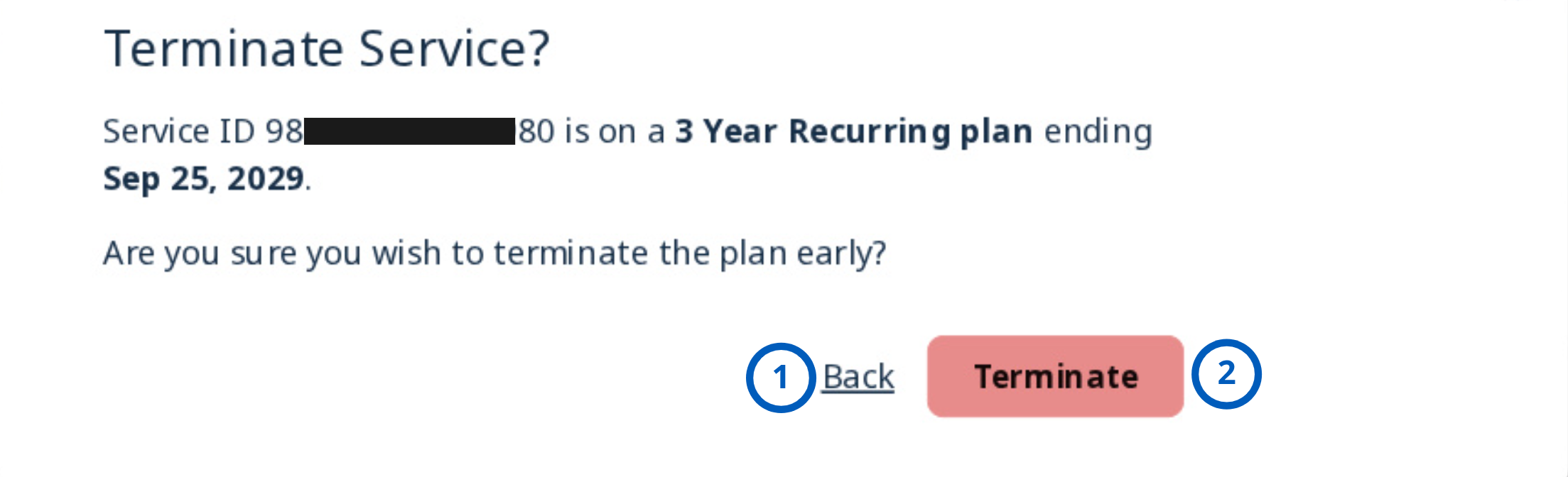 Confirm Dealer Portal service termination (light theme)