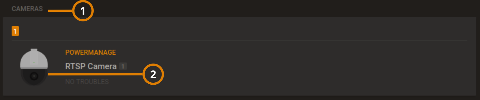 RTSP cameras display (dark)
