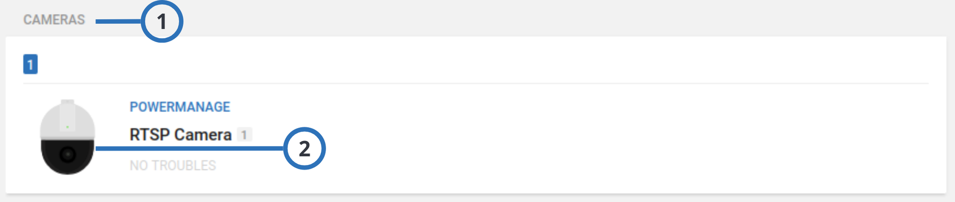 RTSP cameras display (light)